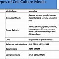 Types of Artificial Media