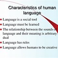 Types of Human Language