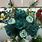 Teal Flower Arrangements