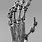 Terminator Robot Hand