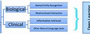 The Development of Ai in Biology Education