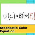 The Euler Equation and Consumption Smoothing