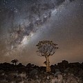 The Milky Way at Night From Southern Africa