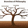 Three Branches of Philosophy