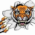 Tiger Claw Ripping Clip Art