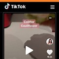 TikTok Video Downloader