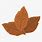 Tobacco Leaf Clip Art