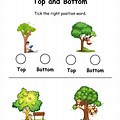 Top Bottom Above/Below Worksheet