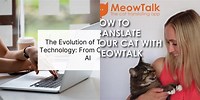 Translation Technology From Cat to Ai