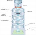 Transmission Electron Microscopy Tem