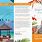 Travel Brochure Template Design