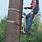 Tree Climbing Equipment