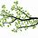 Tree Branch PNG Vector