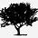 Tree Icon Silhouette