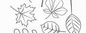 Tree Leaves Coloring Pages