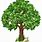 Tree Photo Clip Art