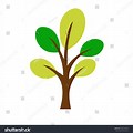 Tree with 5 Leaves On a Branch