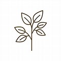 Tree with Branch and Leaves Icon