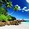 Tropical Island Wallpaper Free