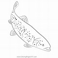 Trout Coloring Page with a Cowboy Hat