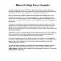 UIC Honors College Essay Examples