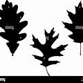 US Navy Oak Leaf Silhouette