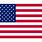 USA Flag Logo