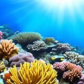 Under Ocean Background Pictures