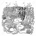 Underwater Coral and Seaweed Coloring Pages