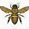 Vintage Bee Clip Art