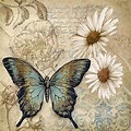 Vintage Butterfly Decoupage Paper