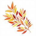 Watercolor Fall Leaves Clip Art