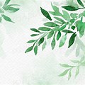 Watercolor Leaves Background Design