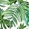 Watercolor Tropical Leaves Background