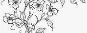 Wedding Flowers and Vines Coloring Pages