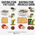 Weight Loss Muscle Gain Diet