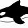 Whale Clip Art Black White