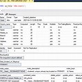 What Is Description and Structure of the Table in SQL