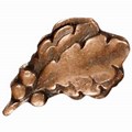 What Is a Bronze Leaf Cluster