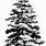 White Pine Tree Clip Art