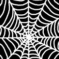 White Spider Web Wallpaper