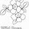 Wild Rose Coloring Page