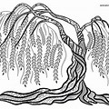 Willow Tree Line Art