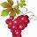 Wine Grapes Clip Art