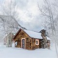 Winter Log Cabin Grey Photo Backdrop