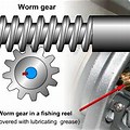 Worm Gear Rack and Pinion