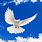 World Peace Dove