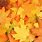 Yellow Leaves Background