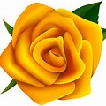 Yellow Roses Clip Art