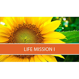 Life Mission I